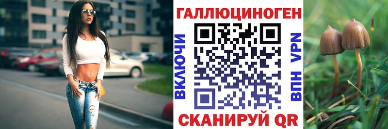 Псилоцибиновые грибы мицелий  hydra сайт  Никольск  сколько стоит 